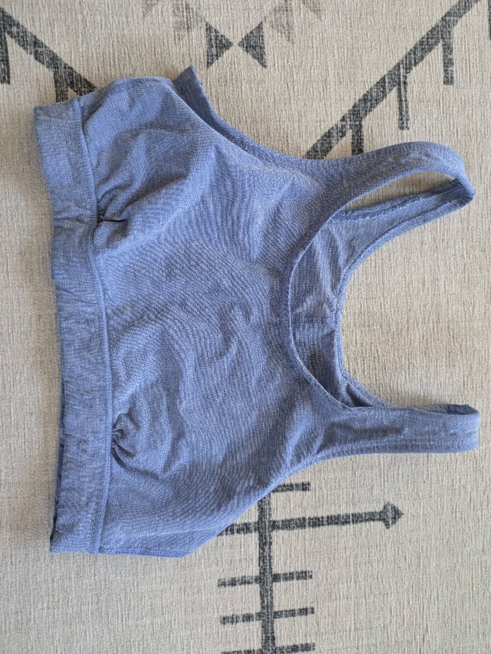 Title Nine Frog Bra